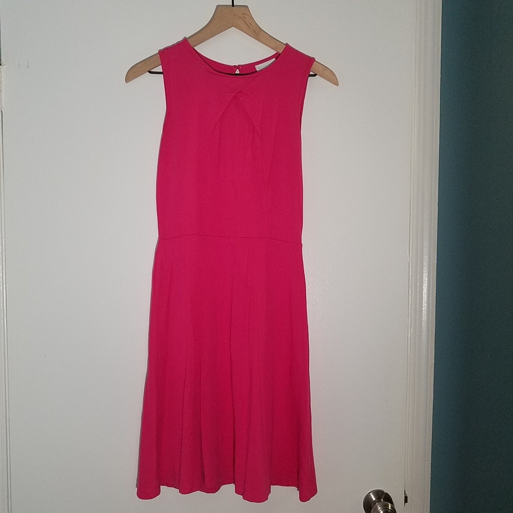 Pink Dress